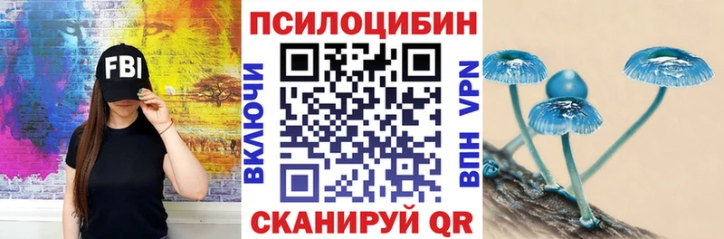 darknet какой сайт  Колпашево  Псилоцибиновые грибы Psilocybine cubensis 